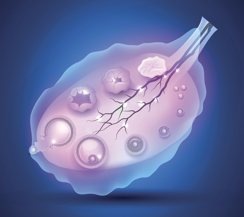 2026吉尔吉斯斯坦试管婴儿费用明细表：比俄罗斯便宜多少？